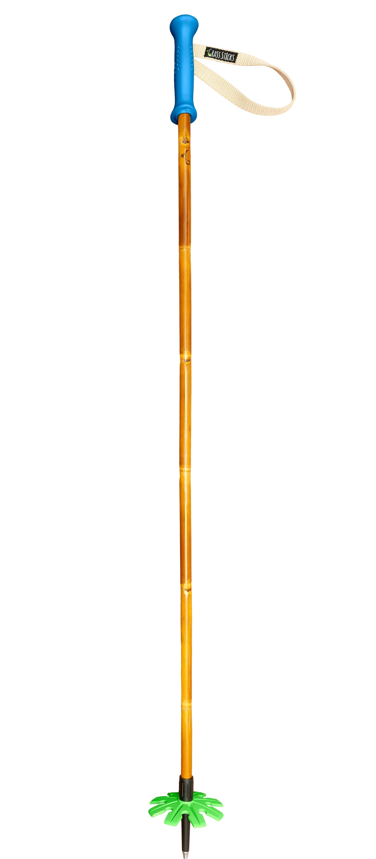 Grass Sticks Bamboo Poles