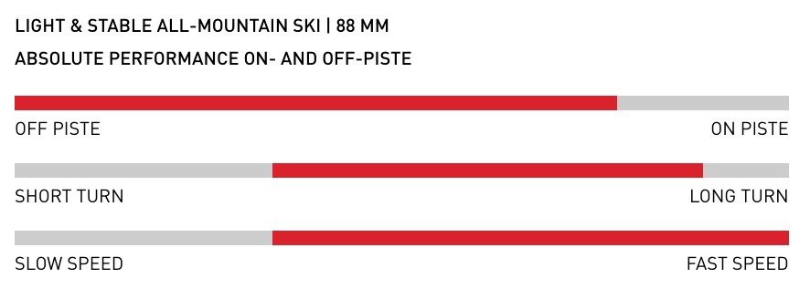 A pair of Brixton ski tips shown side-by-side against a plain white background, displaying their textured gray and white graphics with black branding.